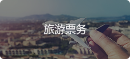 旅游票务