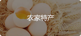 农家特产